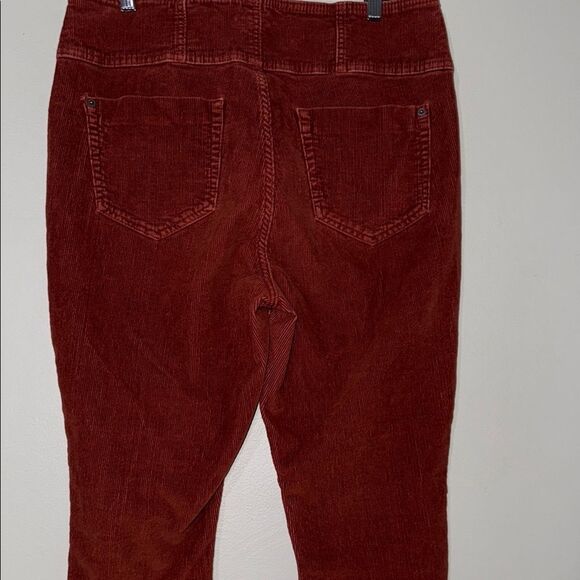 NOBO High Rise Sculpting Skinny Pants - Picture 12 of 12